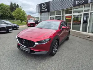 Mazda CX-30 Selection Matrix LED  Bose Navi Leder Schaltwippen