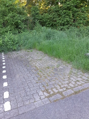 Parkplatz Stellplatz  Bild 2