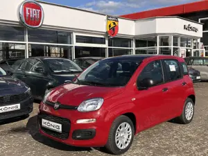 Fiat Panda MY25 1.0 Klima PDC Citypaket