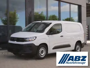 Opel Combo Maxi L2 100 Allwetterreifen + Holzboden