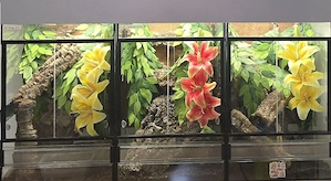 Terrarium, Terrarien 40x40x60 