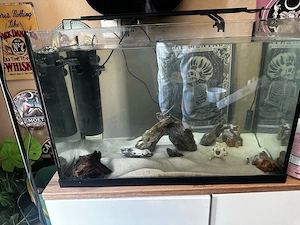 Aquarium 60L