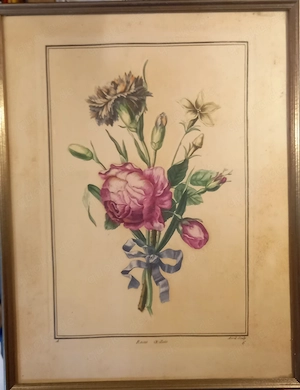 Bild mit Rahmen Roses  OEillets
