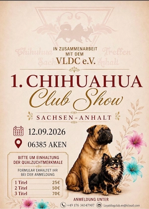 Sonderausstellung für Chihuahuas