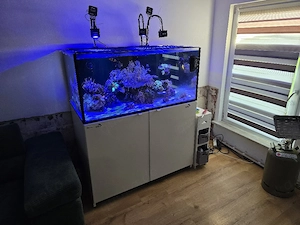 Red Sea Meerwasseraquarium 