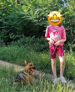 teffie sucht ein zuhause 