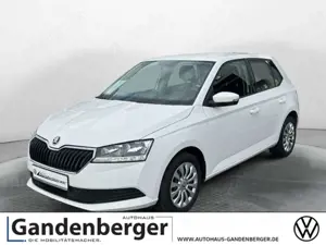 Skoda Fabia Active 1,0l TSI 96 PS 5-Gang