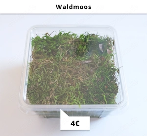 Terrarium Zubehör für Asseln, Tausendfüßer (Sphagnum Moos, Rinde, Muschelgrit, Waldmoos) Bild 6