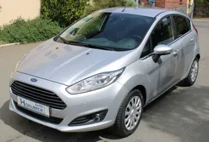 Ford Fiesta Titanium/Frontscheibe heizbar/Park-Pilot-System/Klimaautomatik