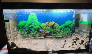 Aquarium 240 l Becken mit Deckel  Licht