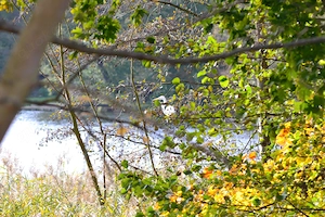 Spaß am See und im Bett