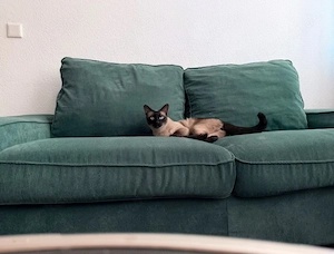 IKEA KIVIK Zweisitzer Sofa inkl. 1 waschbarer Bezug