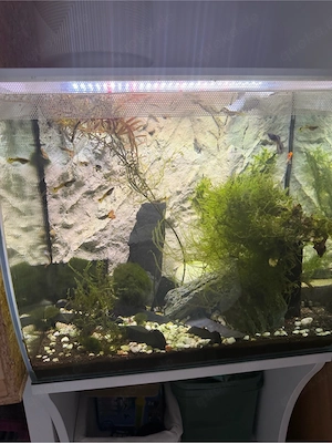 Aquarium Nano 