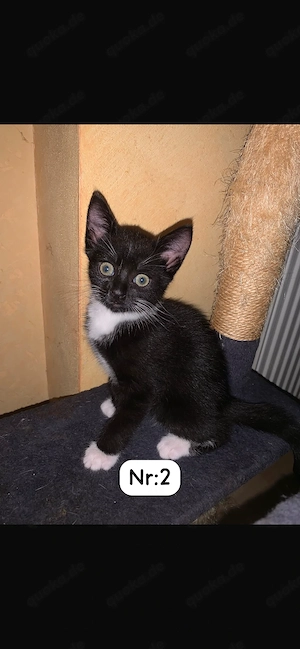 Ich darf ausziehen 