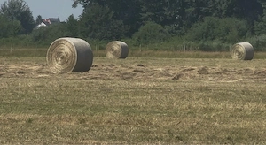 Heu ab Feld