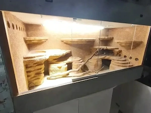 Terrarium 170x80x100cm mit SmartSteuerung& Zubehör