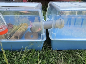 Kleintierkäfig Mäusekäfig Futtertiere 1,40m Bild 3