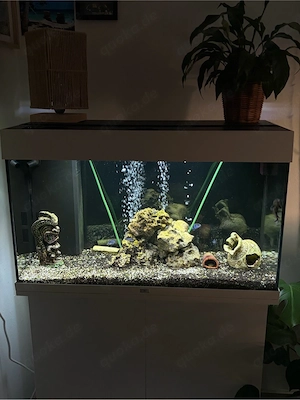 Aquarium komplett