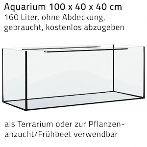 Aquarium 100 x 40 x 40 cm, aus Glas, kostenlos abzugeben