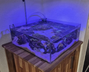 Meerwasser Aquarium 50l Shallowreef 