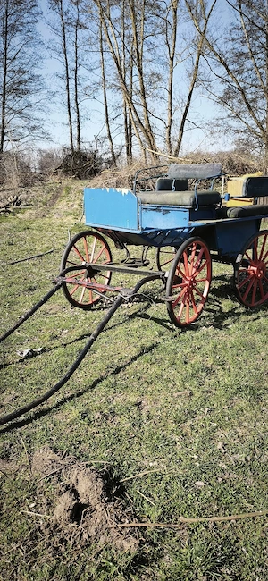 kutsche ab 130 Stockmaß 