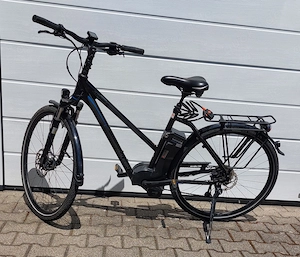 E-Bike Raleigh "Stoker9"