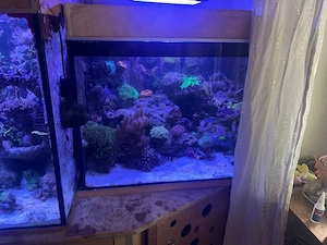 Meerwasser aquarium mit schrank ohne technik und tiere 