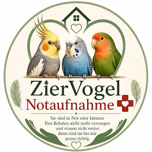 Zier Vogel in Not 