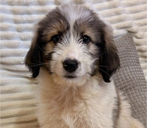 Rike - Zuckersüßes Mädchen sucht dich!