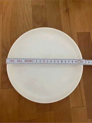 Frisbee Scheibe mit schönem Motiv