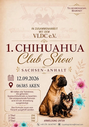 Sonderausstellung für Chihuahuas