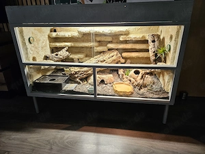 Schönes OSB Terrarium sofort abholbereit 