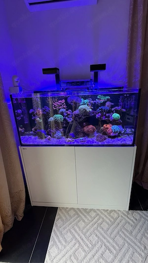 Meerwasseraquarium Red Sea Reefer 425 Vollauslastung NP ü 10000  Bild 1