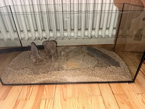 Aquarium mit Zubehör