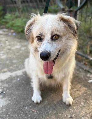 Hübsche Hailey 