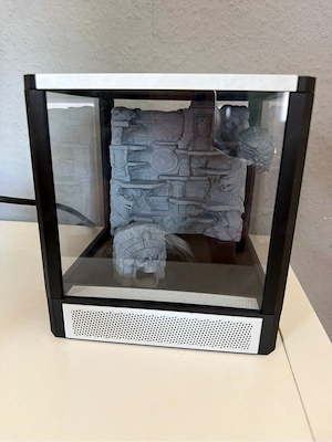 Spinnen Terrarium , Spinnenwürfel