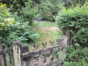 Idyllisches Ferienhäuschen im Wald Bild 7