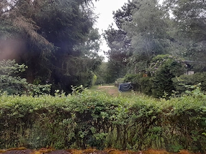 Idyllisches Ferienhäuschen im Wald Bild 5
