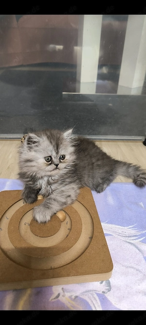 Perser Baby Mädchen