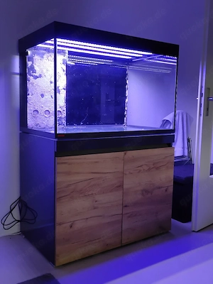 Eheim Incpiria marine reef Meerwasser Aquarium mit Technik