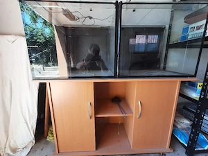 Verschenke 2 Aquarien 