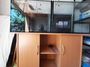 2 Würfelaquarien, 1 JUWEL Unterschrank, 1 LED Leuchte zu verschenken 