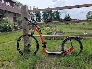 Stepper für Hundesport