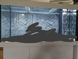 Aquarium Aquarien zu verkaufen 