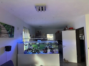 Meerwasser Aquarium Beckenauflösung