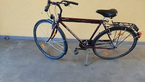 Gudereit Herren-Trekkingrad 28" Fantasy - maroon - 7-Gang-Schimano