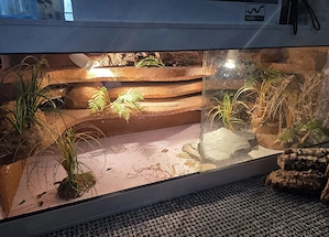 Kunststoffterrarium 120 60 60 mit Rückwand Reptilien Leopardgecko Gecko Echse