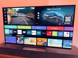 4K LG Oled evo Tv 65Zoll 