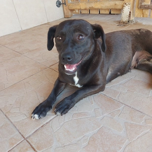 Coco sucht Ihre Familie