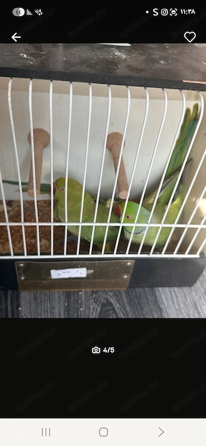 Langemarckstr 323 28199 